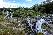 Национальный парк Лос-Гласиарc, Патагония, Аргентина