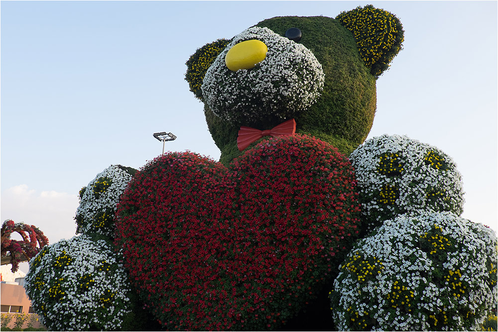 Дубай, парк цветов (Miracle Garden)