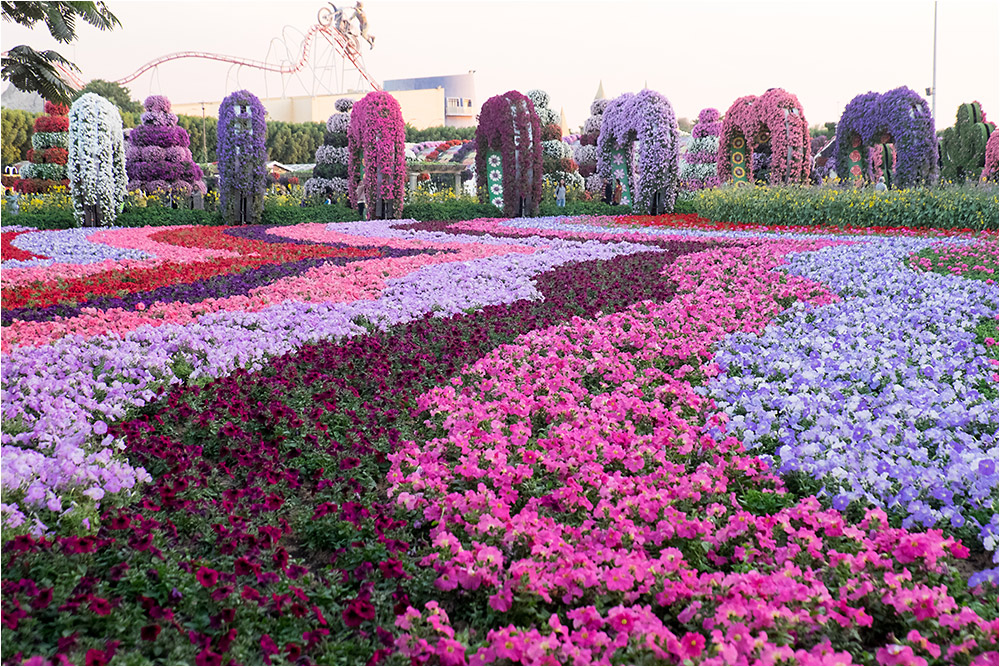 Дубай, парк цветов (Miracle Garden)