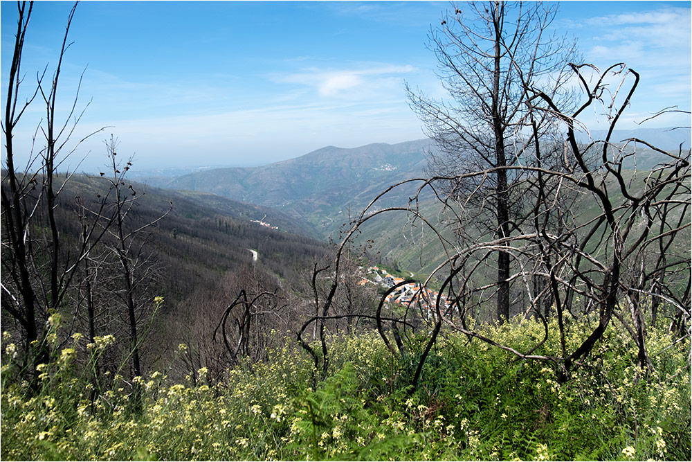 Португалия, горная дорога на Лузу