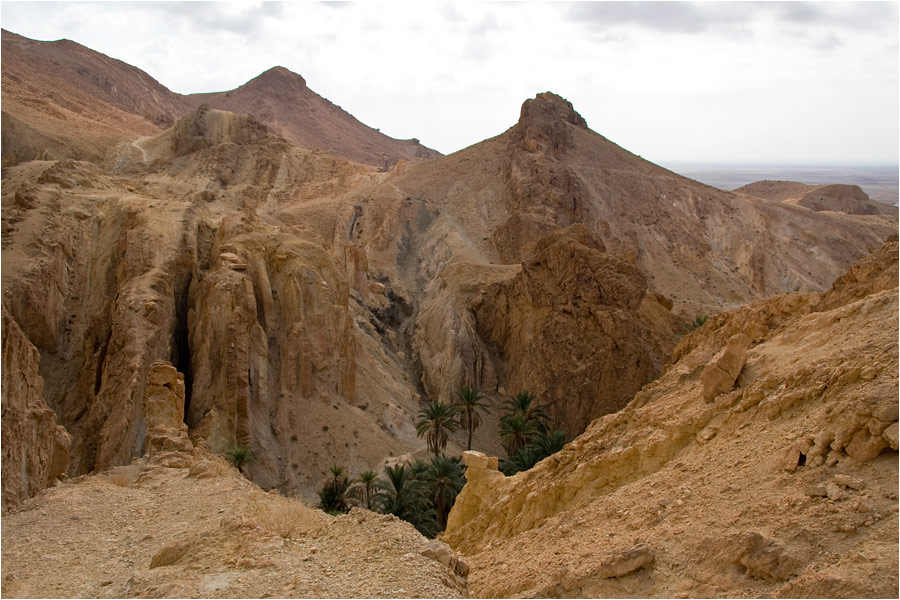 Тунис. Сахара